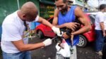 Salvador inicia vacinação gratuita contra a raiva em cães e gatos