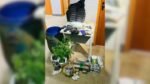 Operação termina com três mortos e apreensão de drogas e dinheiro em Valença
