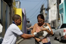Ainda não vacinou seu pet? Salvador tem vacinação antirrábica neste domingo