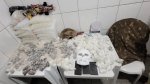 Milhares de drogas! PM desabastece facção em Salvador